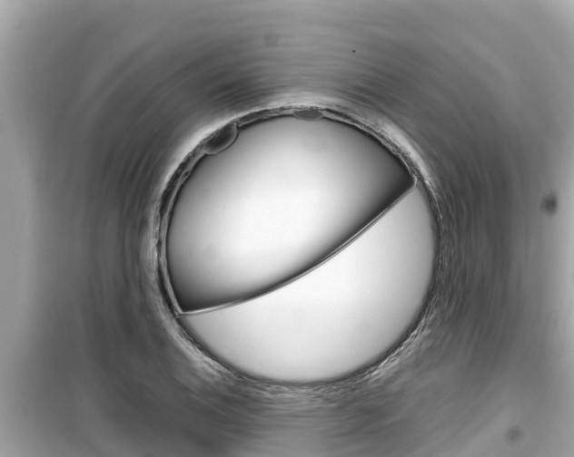 X0000099941124200805231015