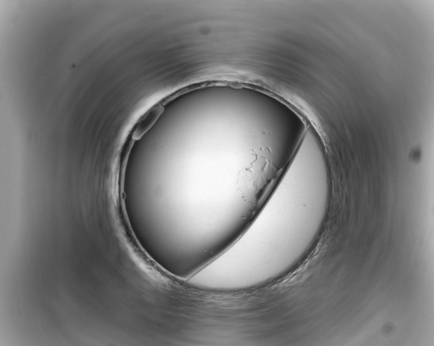 X0000099941128200805231015