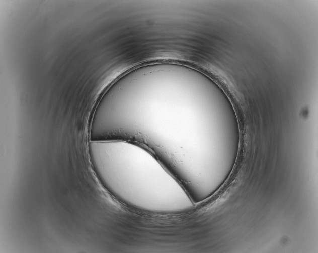 X0000099941129200805231015