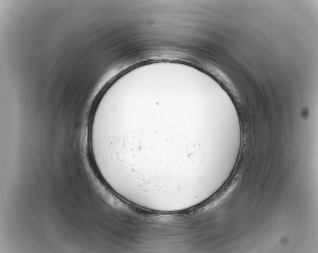 X0000099941130200805231015