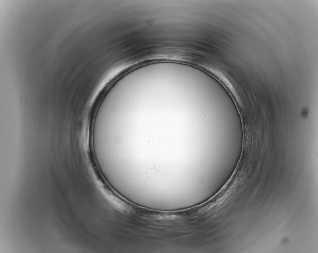 X0000099941131200805231015