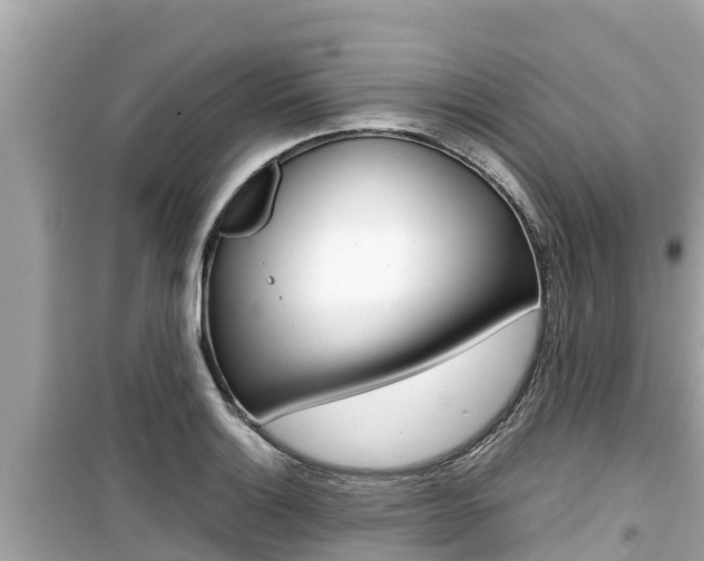 X0000099941132200805231015
