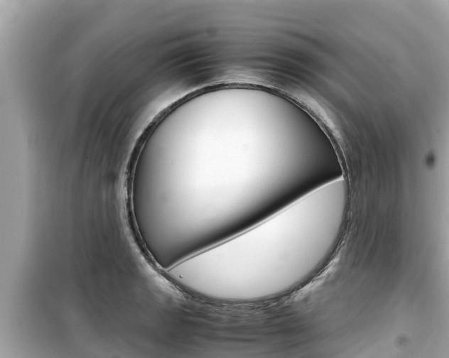 X0000099941133200805231015
