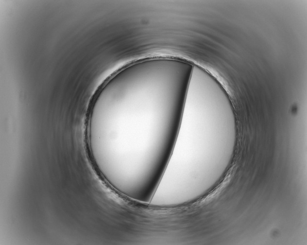 X0000099941134200805231015