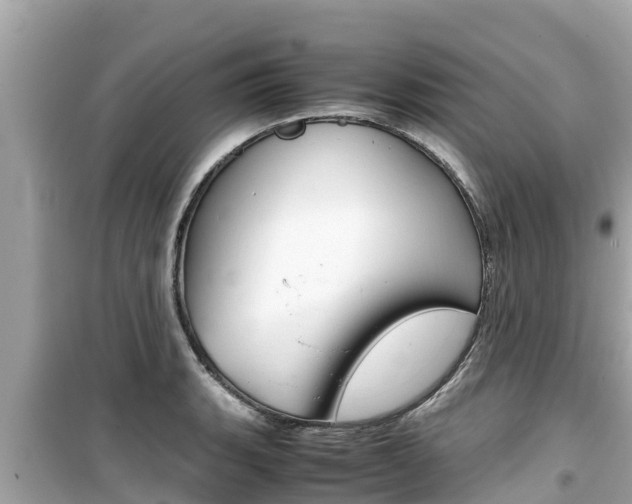 X0000099941135200805231015