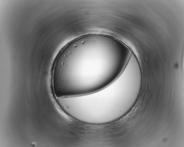 X0000099941136200805231015