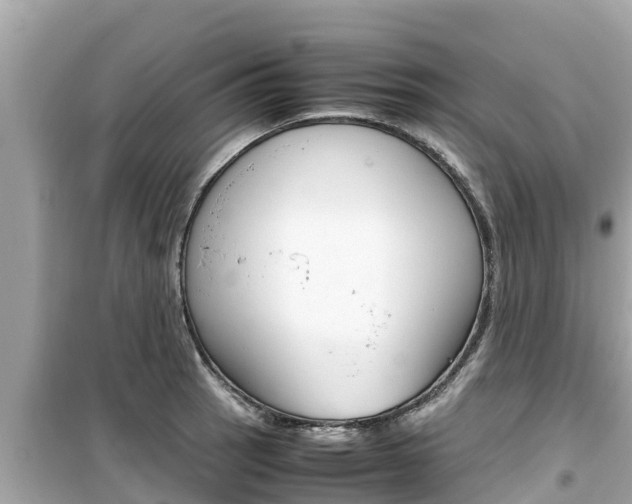 X0000099941137200805231015