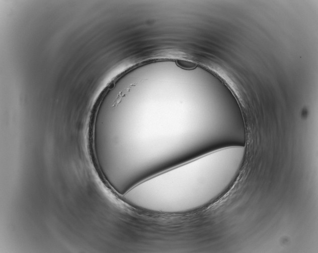 X0000099941139200805231015