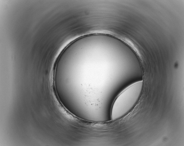 X0000099941140200805231015