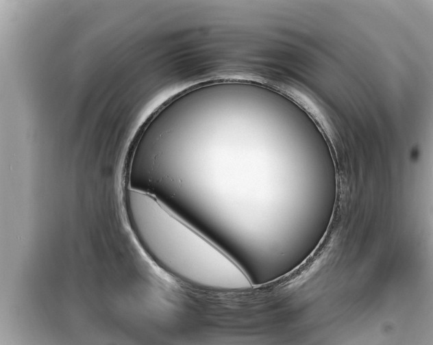 X0000099941141200805231015