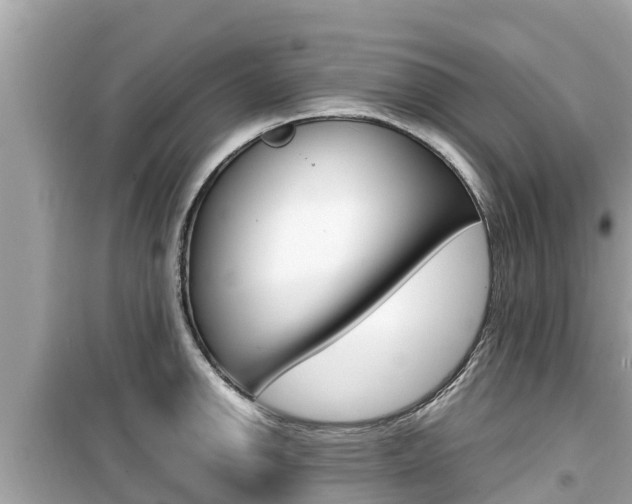 X0000099941142200805231015