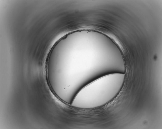X0000099941143200805231015