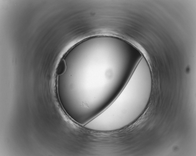 X0000099941144200805231015