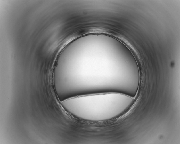 X0000099941145200805231015