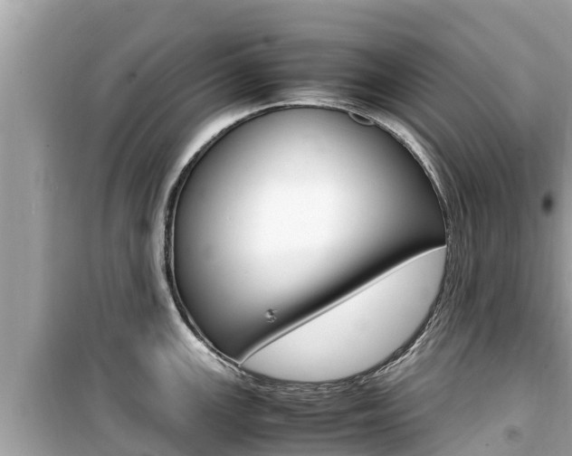 X0000099941147200805231015