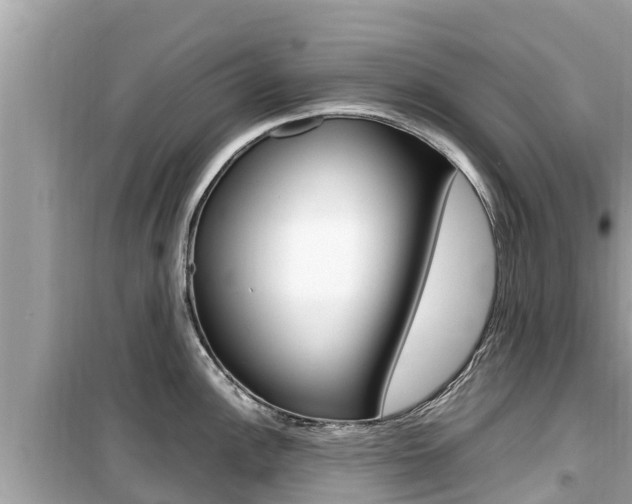 X0000099941148200805231015