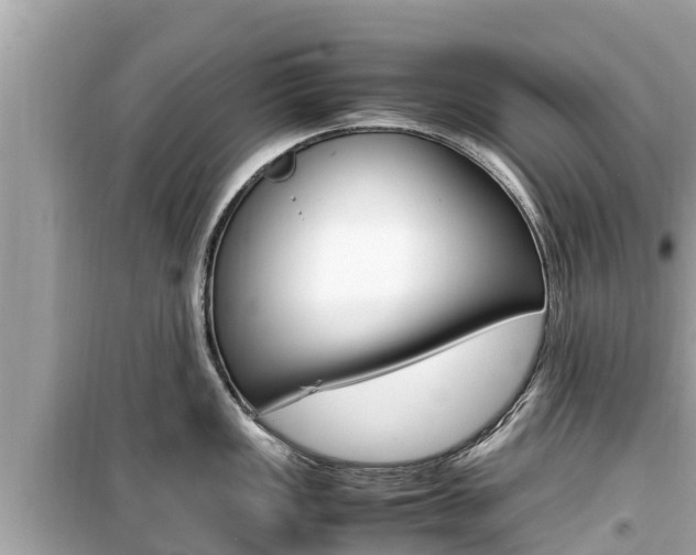 X0000099941149200805231015