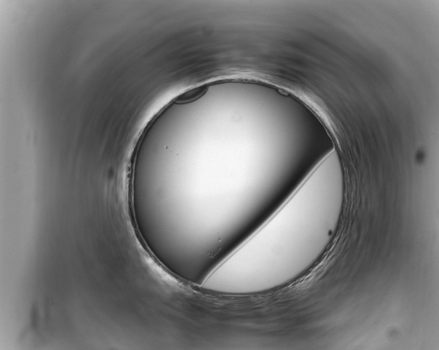 X0000099941151200805231015