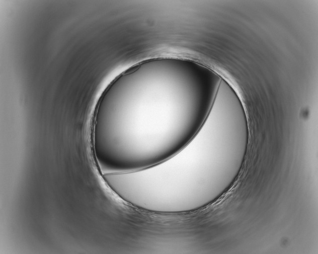 X0000099941152200805231015