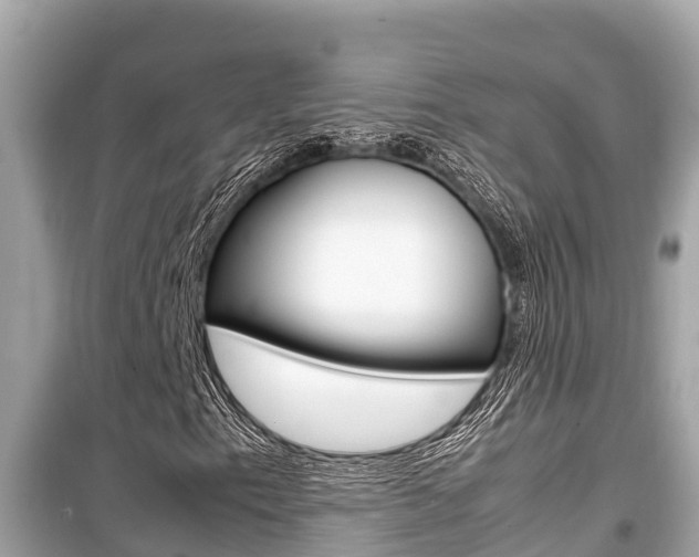 X0000099941153200805231015