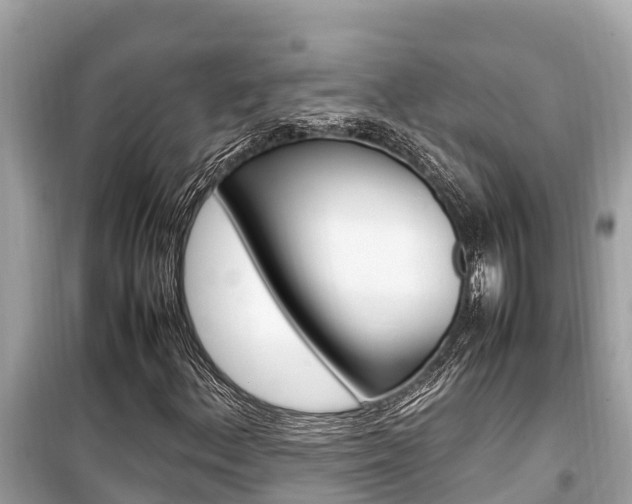 X0000099941156200805231015