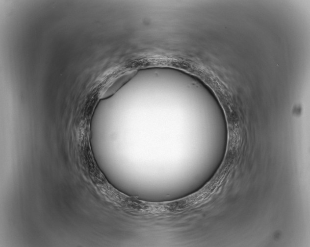 X0000099941157200805231015