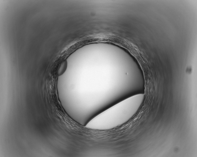 X0000099941158200805231015