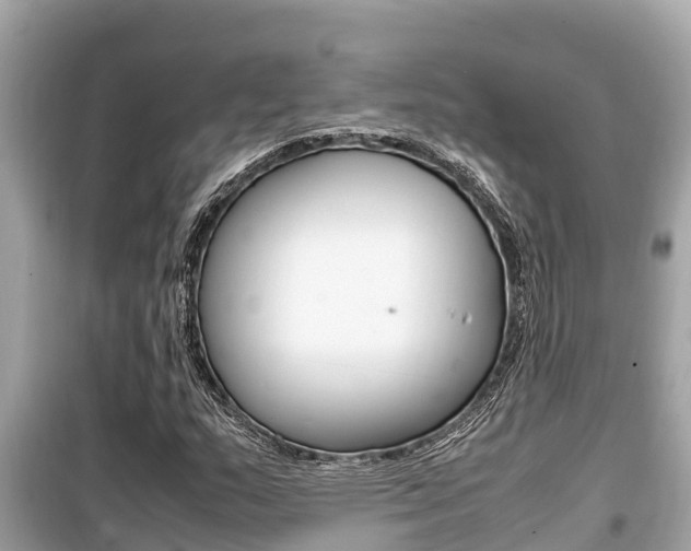 X0000099941159200805231014