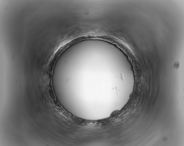 X0000099941160200805231014