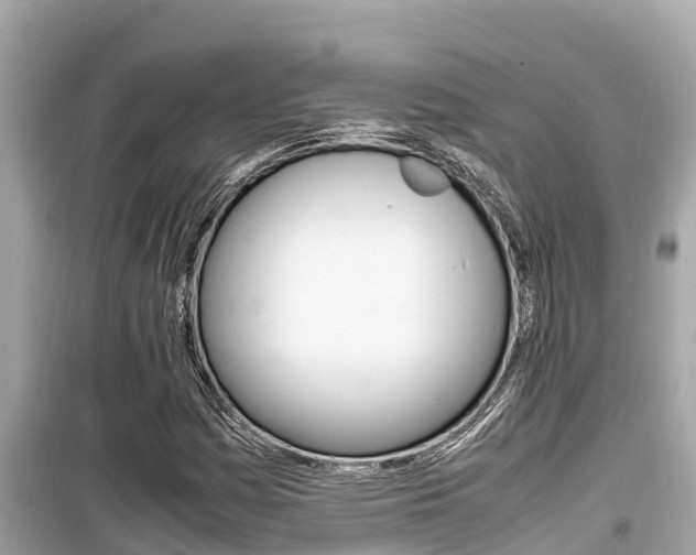 X0000099941161200805231014