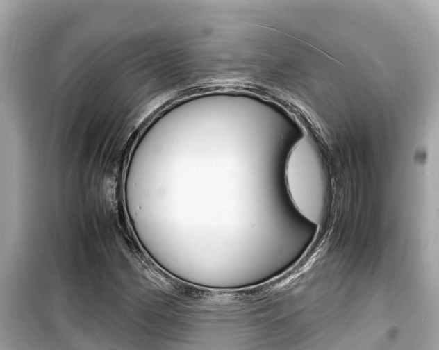 X0000099941162200805231014