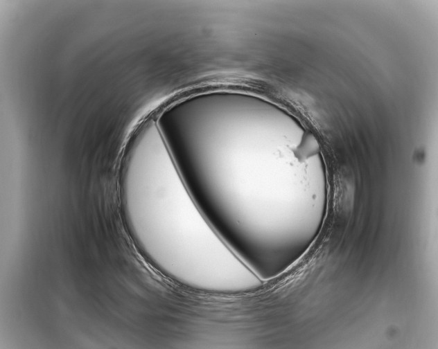 X0000099941164200805231014