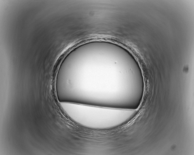 X0000099941165200805231014