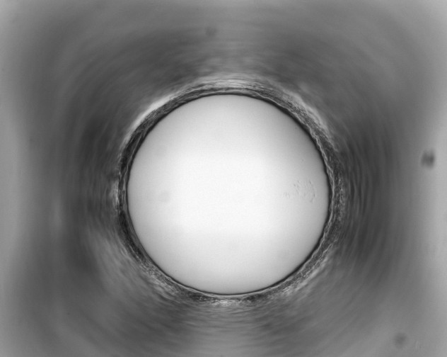 X0000099941166200805231014