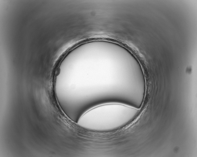 X0000099941167200805231014