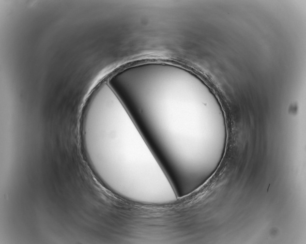 X0000099941168200805231014