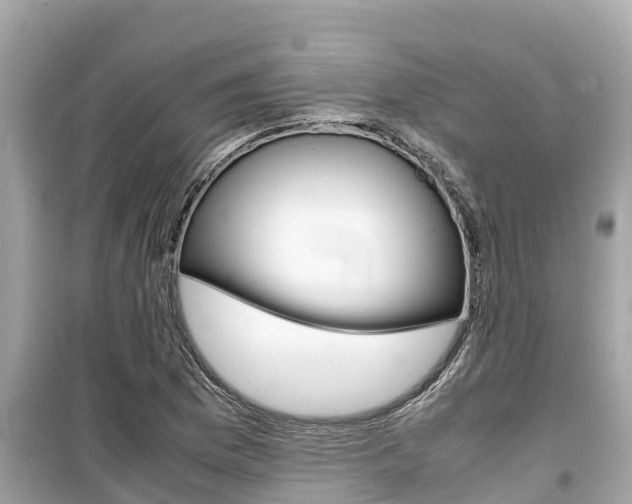 X0000099941169200805231014