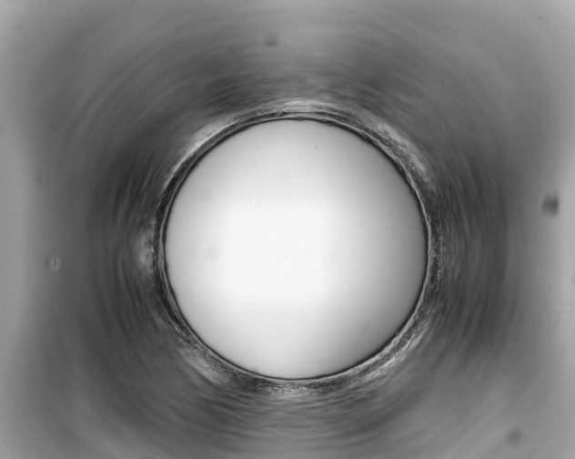 X0000099941170200805231014