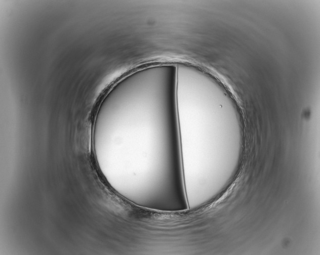 X0000099941171200805231014