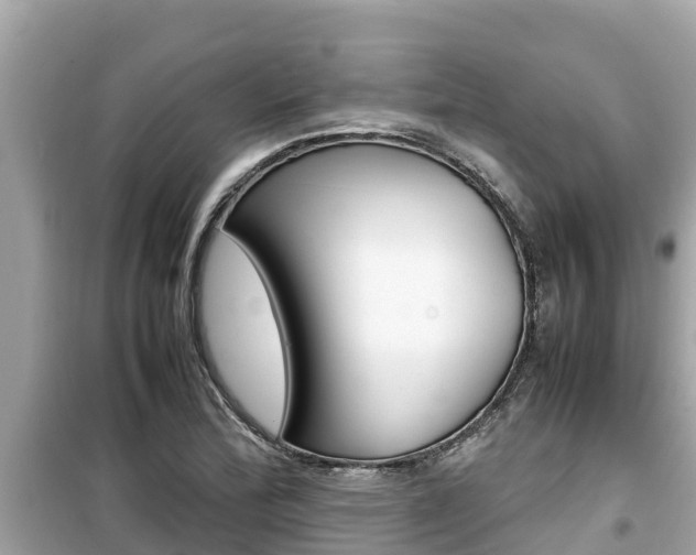 X0000099941172200805231014