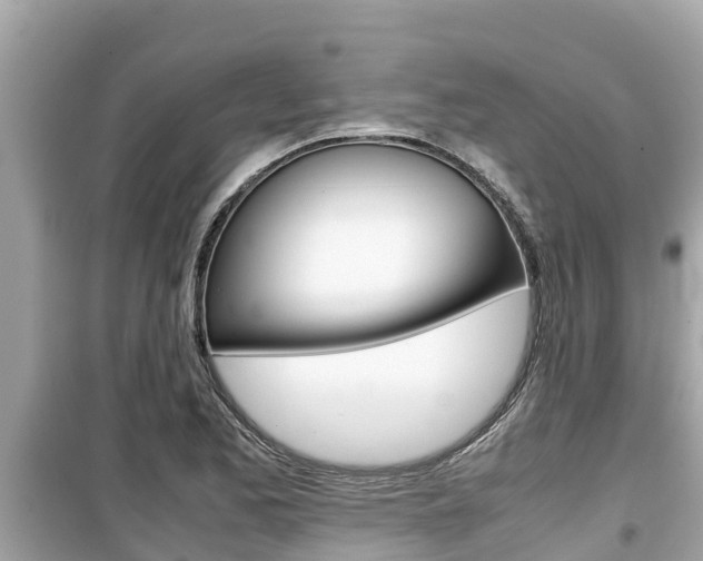 X0000099941173200805231014