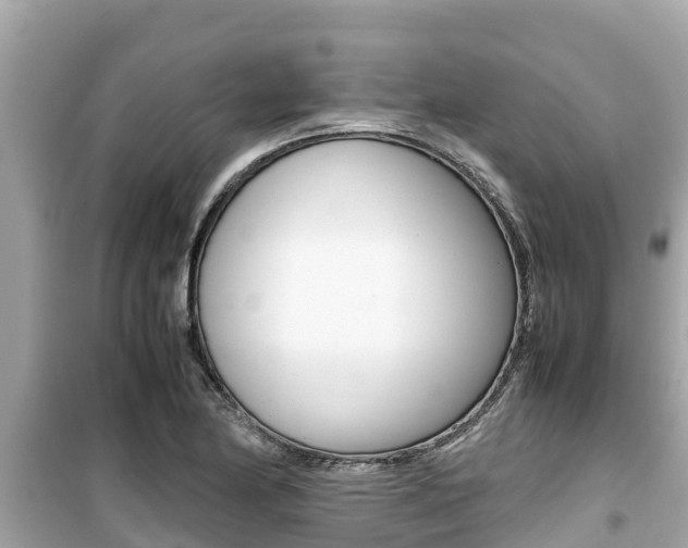 X0000099941174200805231014