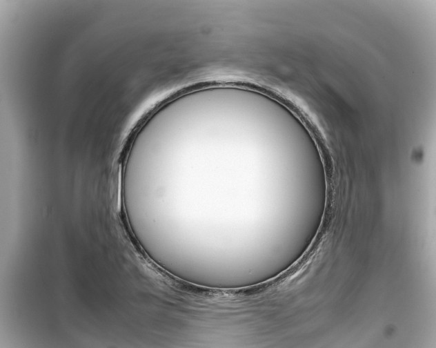X0000099941175200805231014