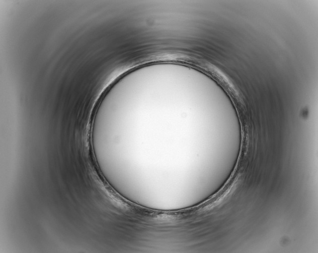 X0000099941178200805231014