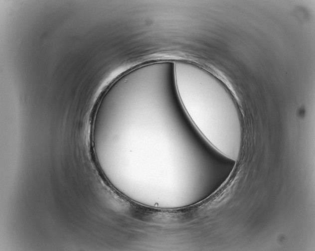 X0000099941179200805231014
