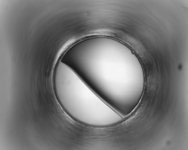 X0000099941180200805231014