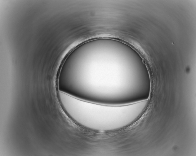 X0000099941181200805231014