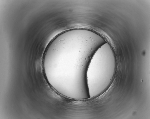 X0000099941182200805231014