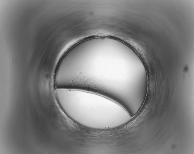 X0000099941183200805231014