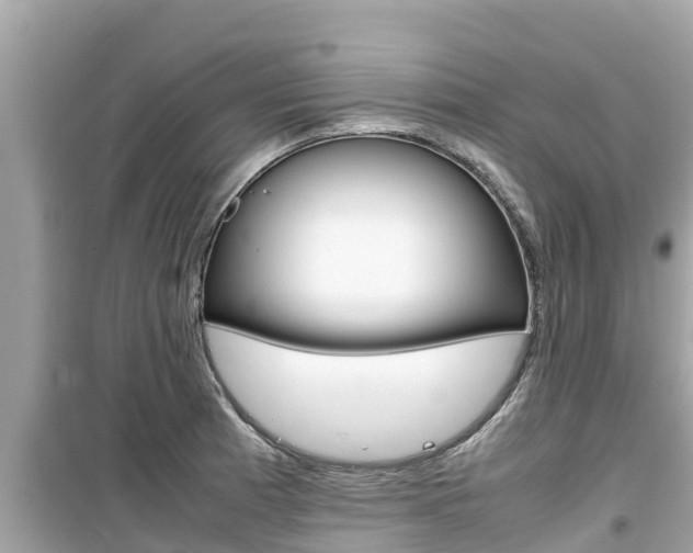 X0000099941185200805231014